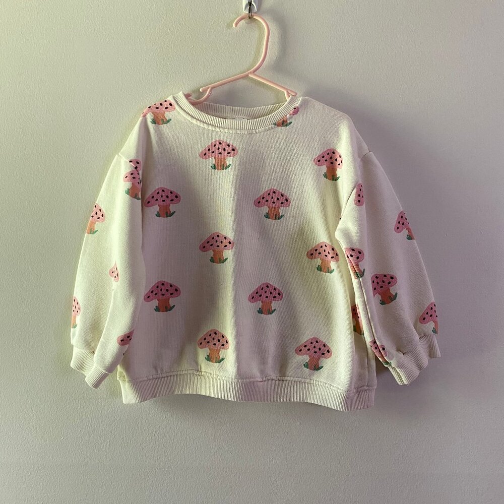 Zara Kids Sweatshirt, Size 4-5.